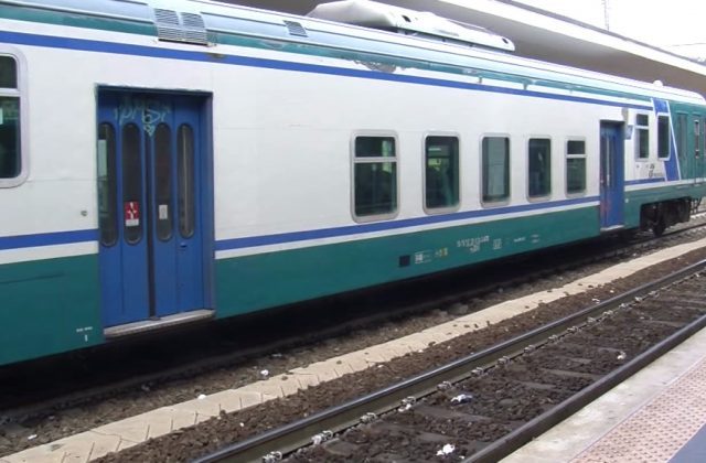Senigallia, istrice ferito sui binari: fermati i treni per soccorrerlo