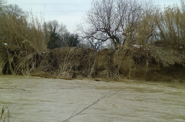 L'argine del fiume Misa in località Molino Marazzana