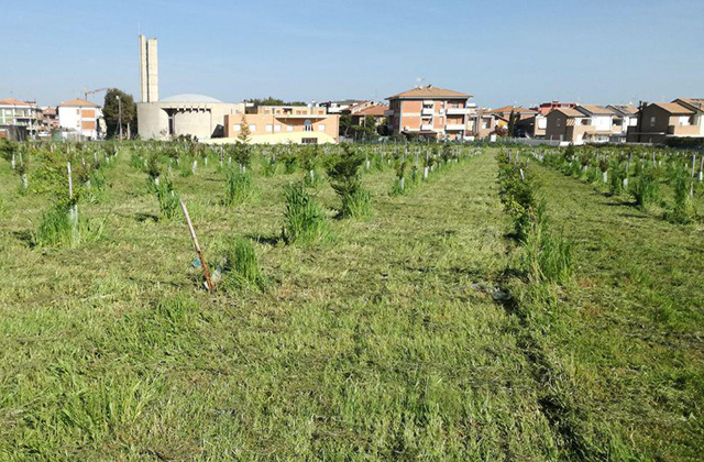 Verde urbano: il parco alla Cesanella di Senigallia