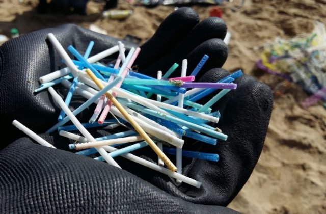 Alcuni dei rifiuti trovati in spiaggia dai volontari di Legambiente