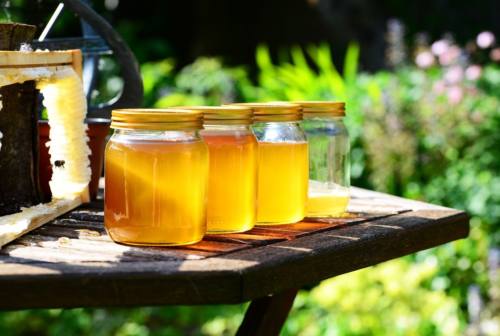 Valfornace-Pievebovigliana capitale del miele, tra degustazioni e convegni