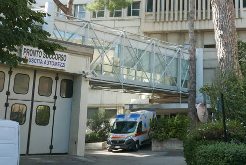 Contro ansia e paure i cani entrano nella pediatria dell’ospedale di Senigallia