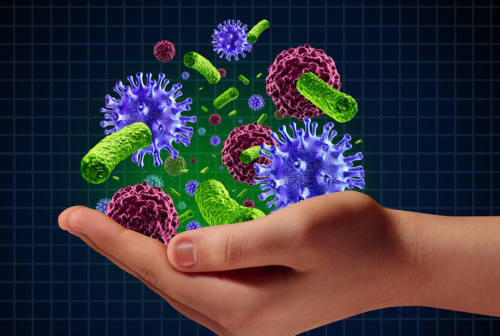 Coronavirus e dieta, ecco come rafforzare il sistema immunitario