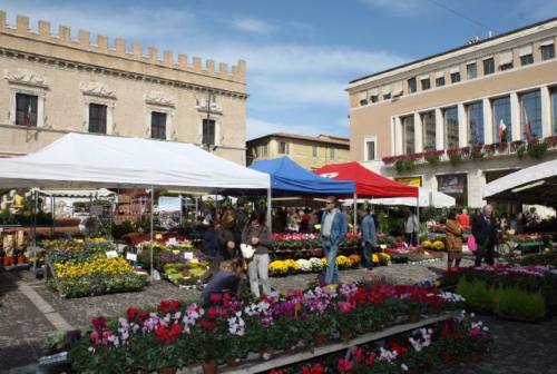 Pesaro, la mostra dei fiori in piazza si farà. Vigili urbani a controllare il rispetto delle norme anti-Covid