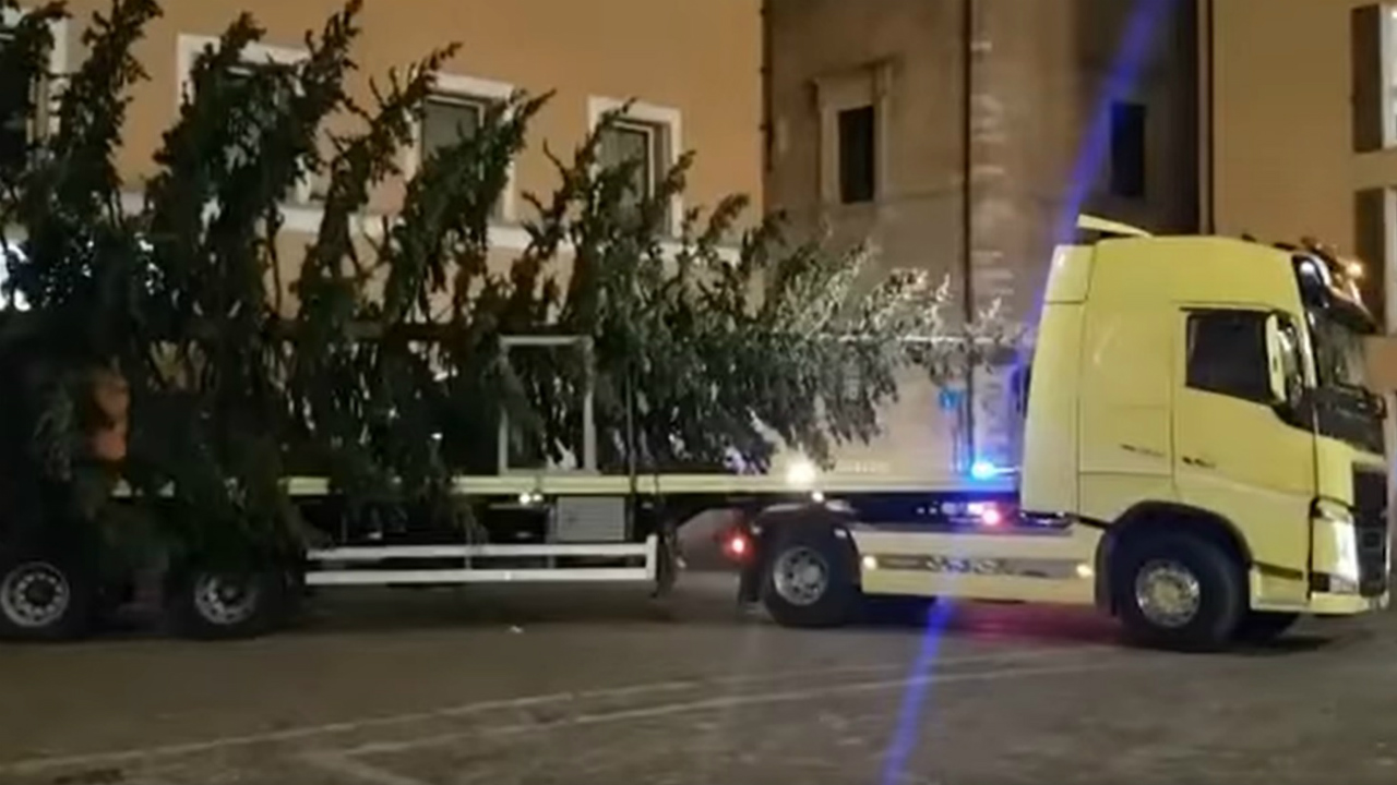 L'albero di Natale in piazza a Fano