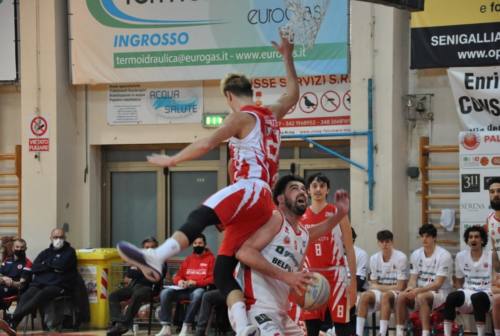 Basket, Goldengas Senigallia: arriva la capolista Fabriano. Pierantoni: «Possiamo infastidirli»