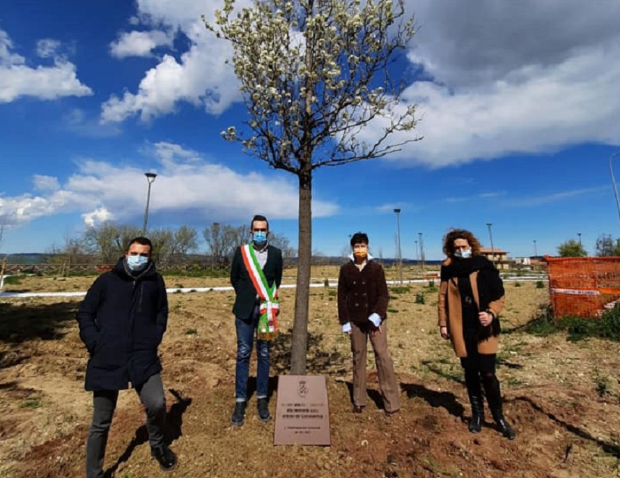 Piantato un albero per ricordare le vittime del Covid