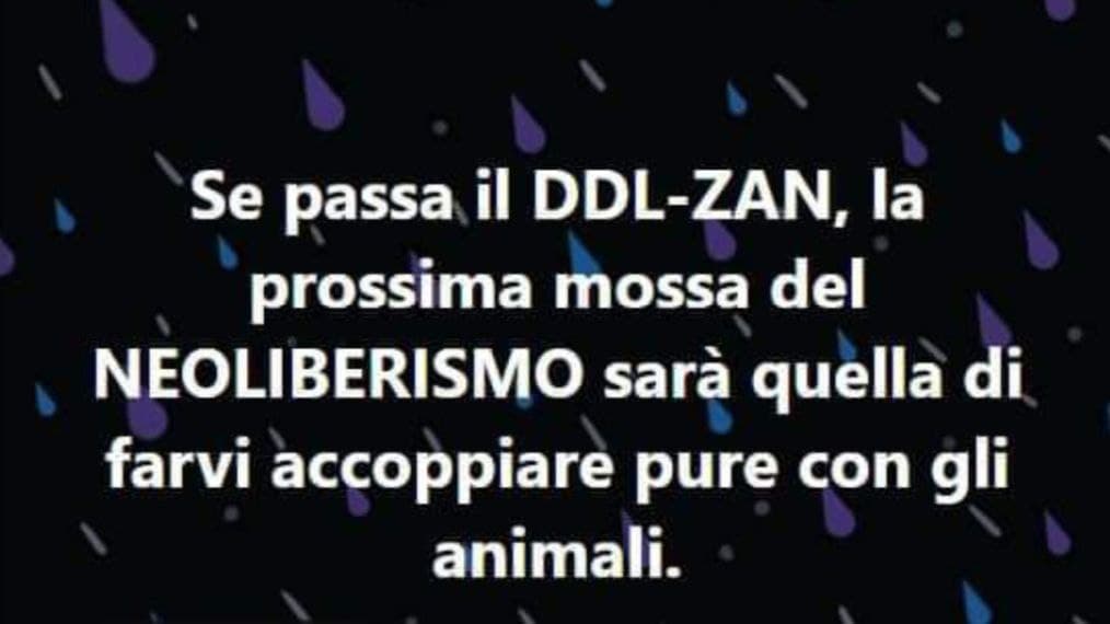 La frase di Marcello Liverani sul ddl Zan