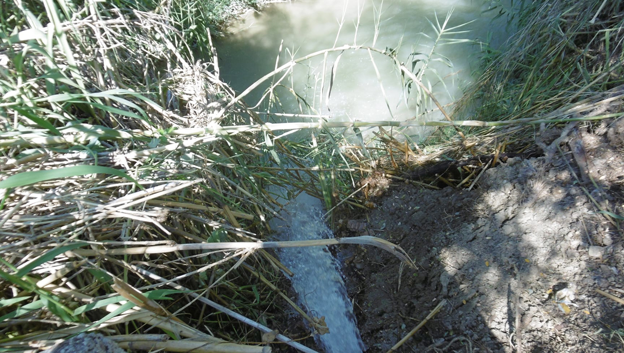 Siccità: aumentata l'immissione di acqua di pozzo dal Canale Albani