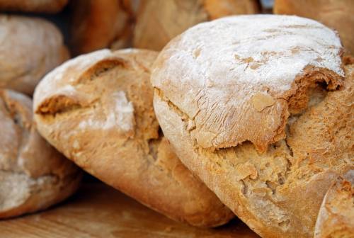 Aumento della farina e maxi rincaro per pane e pasta: cosa c’è di vero? Parlano i fornai