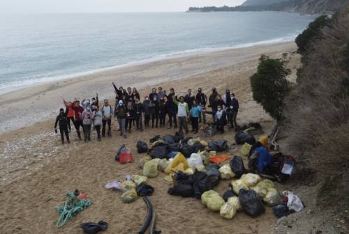 Ancona, ripulita la spiaggia di Mezzavalle. I volontari: «Tra i rifiuti, anche due frigoriferi e la carcassa di una tartaruga»