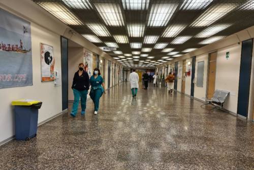 Liste attesa cardiologiche pediatriche, Un Battito d’Ali: «Disponibilità al 2024». La Regione Marche: «Liste aperte in vari centri»