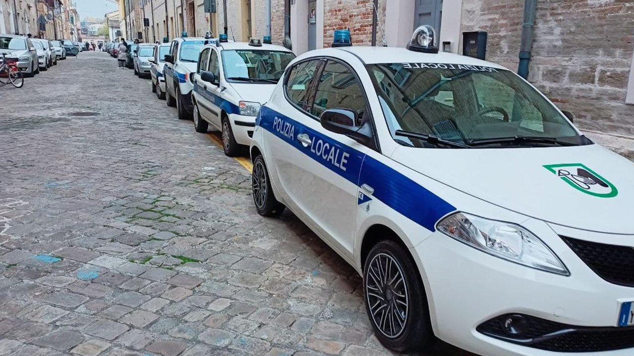 Le auto della Polizia Locale di Senigallia