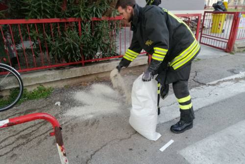 Pesaro, due piccole bombe artigianali esplodono davanti alla scuola Lubich: per fortuna nessun ferito