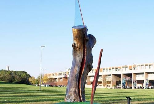 Pesaro, al Campus il percorso “Dalla memoria al futuro”, dedicato alle vittime del Covid