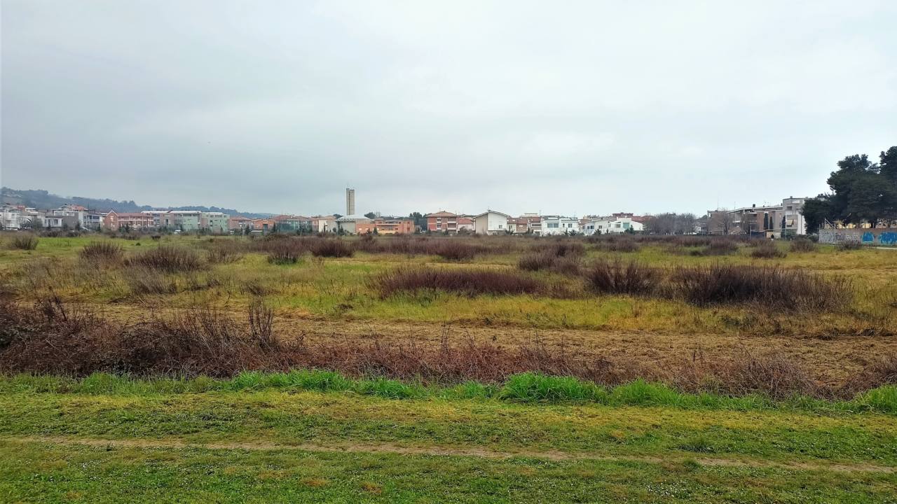 L'area del parco della Cesanella, a Senigallia. Sullo sfondo il quartiere Cesanella
