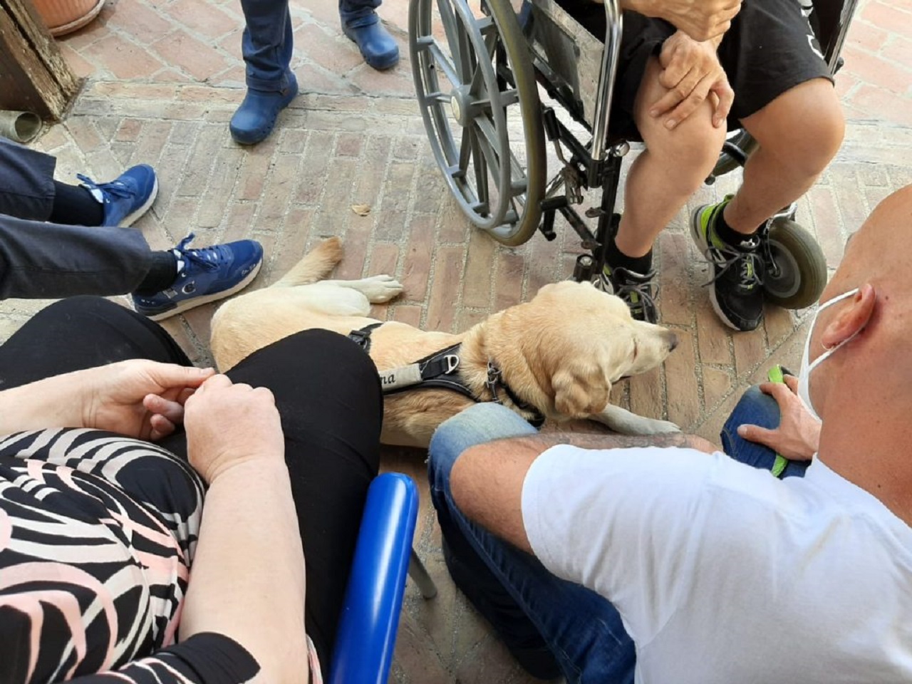 Pet therapy a Castelfidardo