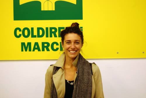 Cambiamento climatico, Coldiretti Marche: «Agricoltura il settore più penalizzato. Lavorare su invasi e dispersione idrica»