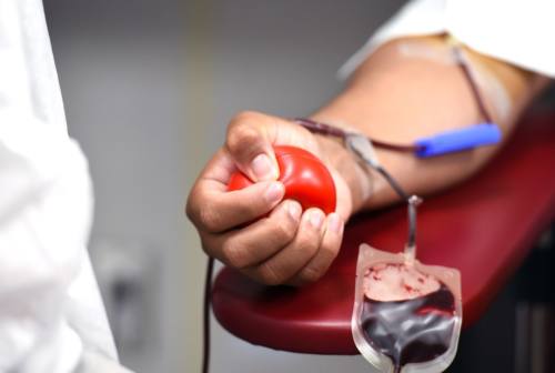 Donazioni di sangue in calo, il dipartimento di Medicina Trasfusionale Marche: «Donate sangue prima delle ferie»