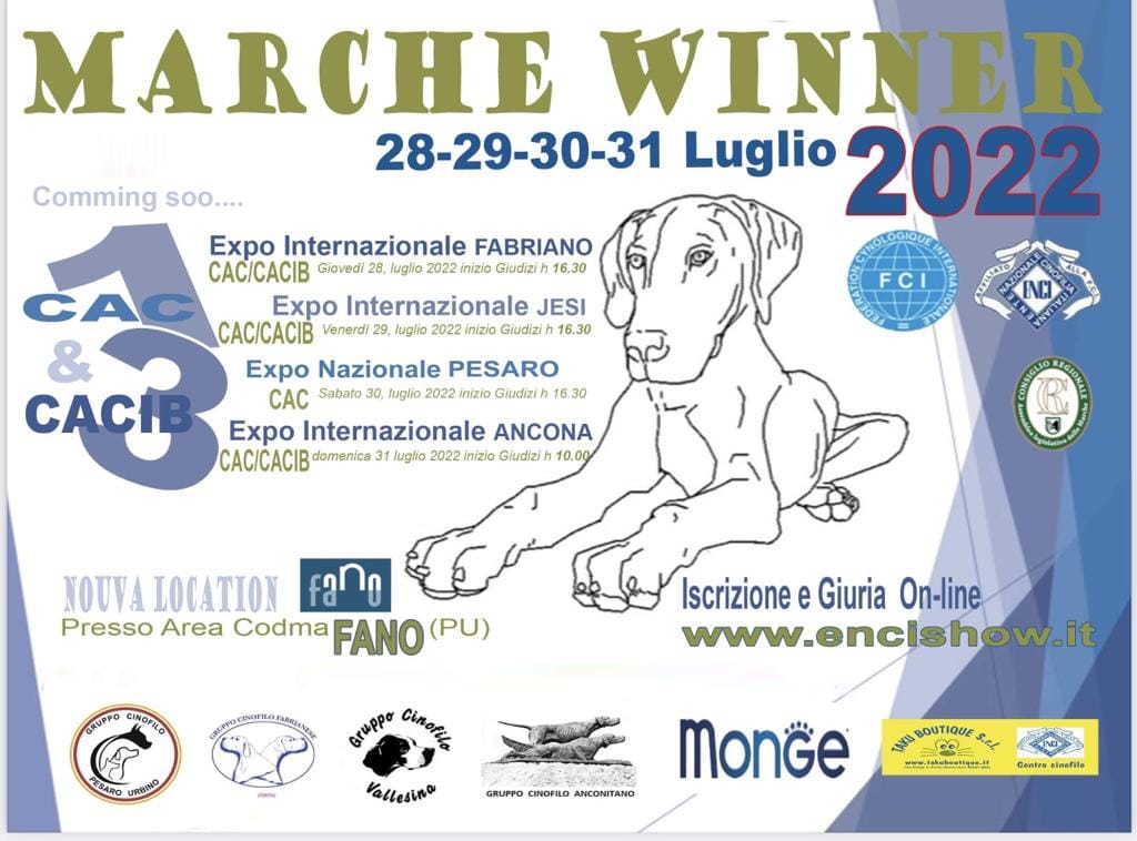 Marche Winner Show 2022