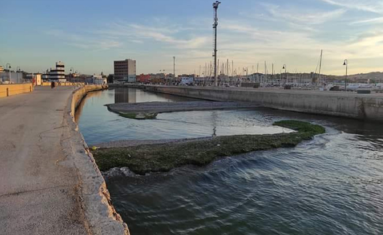 I sedimenti depositatisi alla foce del fiume Misa a Senigallia. Foto tratta da Facebook