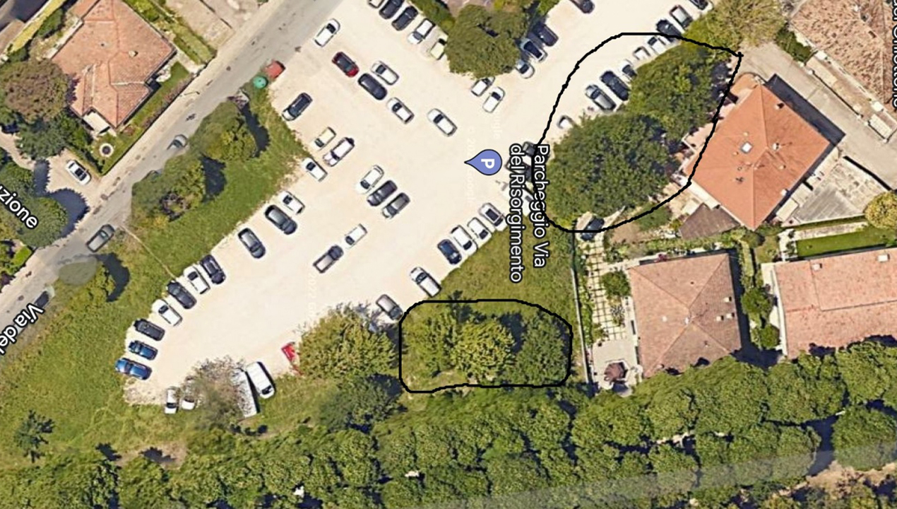 alberi abbattuti per il nuovo parcheggio di via del Risorgimento: