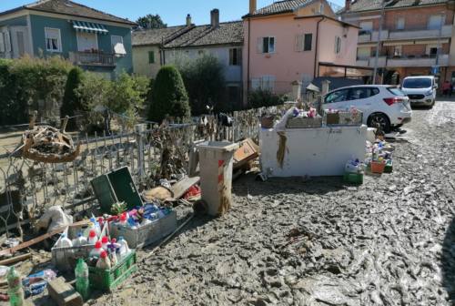 Esondazione del fiume Misa, a Ostra nasce il comitato degli alluvionati di Casine e Pianello