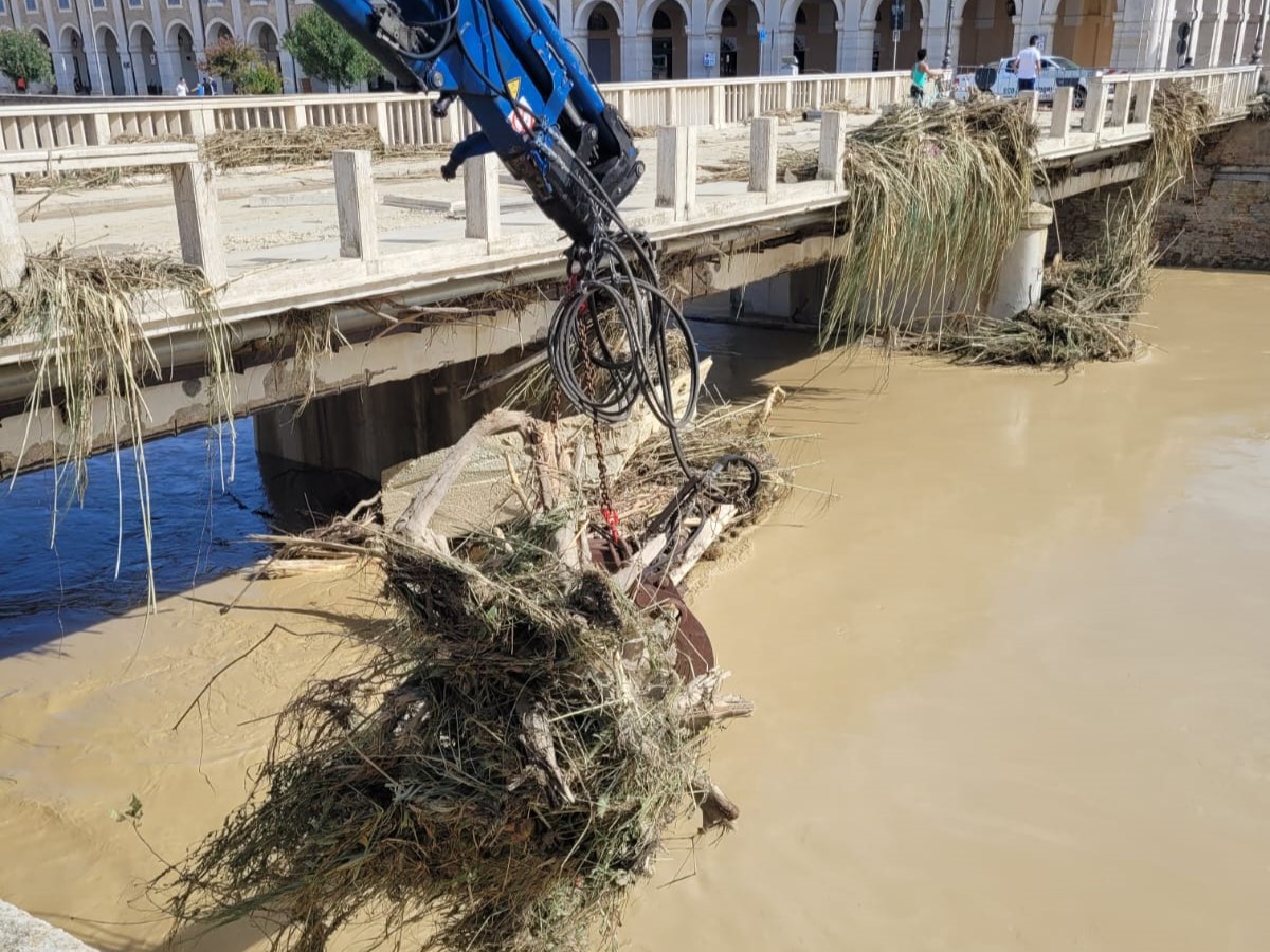 La rimozione di tronchi, rami e detriti che l'alluvione ha portato verso ponte Garibaldi a Senigallia