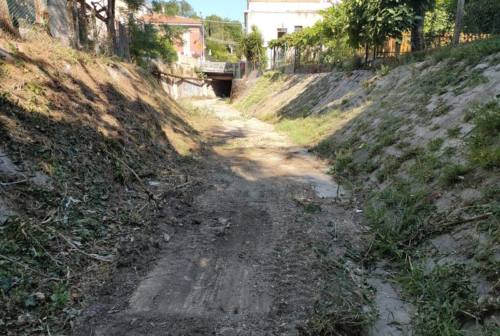 Vallefoglia, il sindaco Ucchielli sollecita interventi di pulizia del fosso Taccone e del fiume Foglia