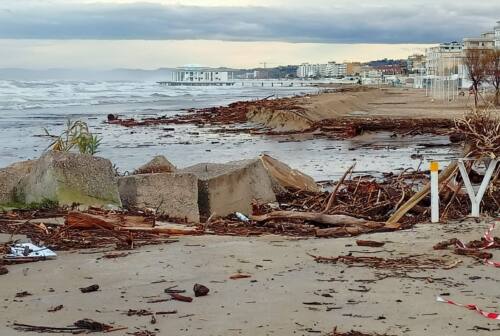 Mareggiate, la spiaggia di Senigallia invasa da tronchi, rami e detriti – FOTO