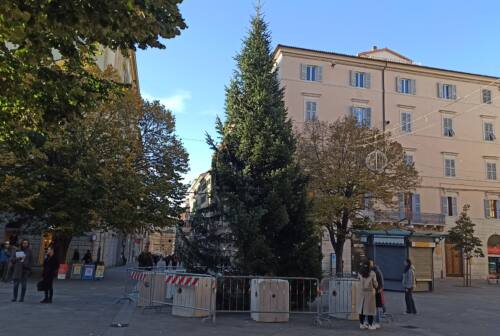 Ancona, ecco l’albero di Natale in piazza Roma