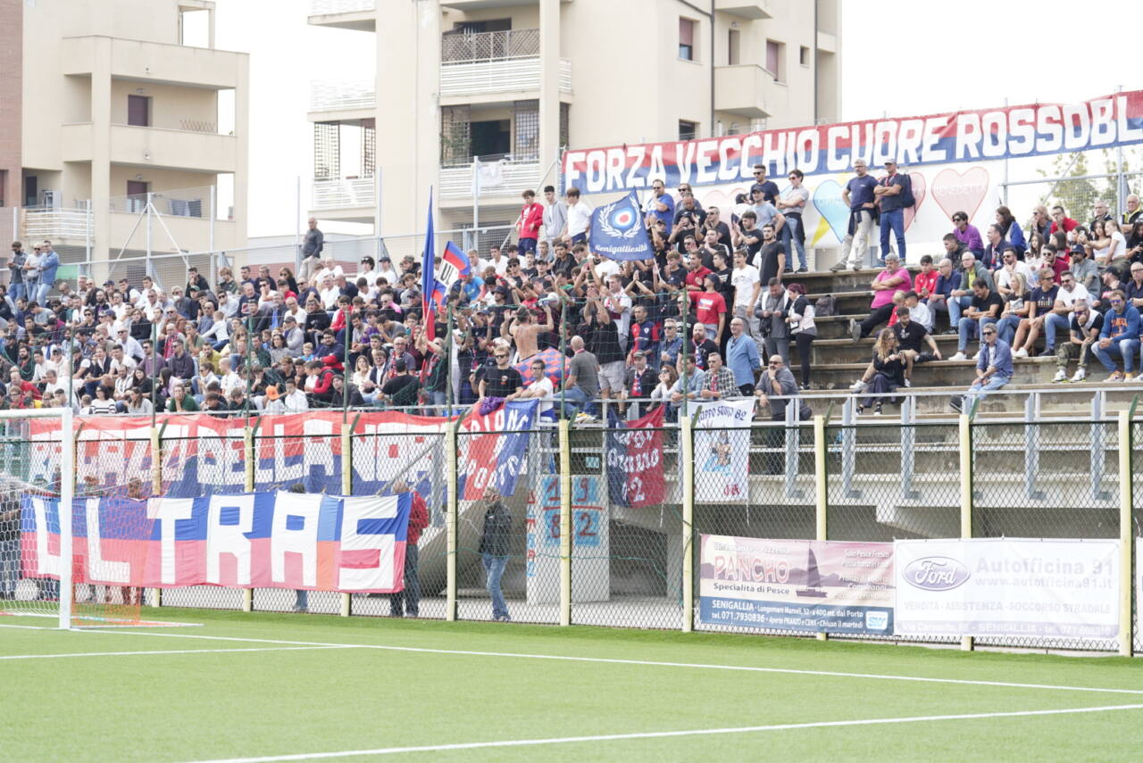 La tifoseria vigorina durante il match tra Vigor Senigallia e Tolentino del 9 ottobre 2022. Foto di Carlo Castorina