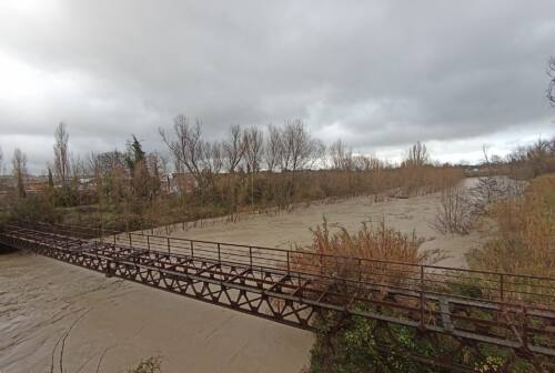 Pesaro, fiume Foglia osservato speciale: alcune aziende hanno chiuso in via precauzionale