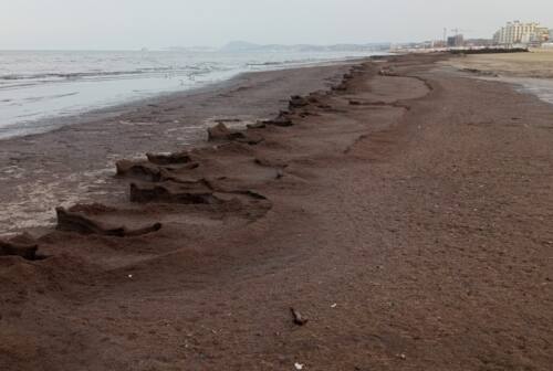 «Che c’entra il Consorzio di bonifica con la marea che ha invaso la spiaggia di Senigallia?»