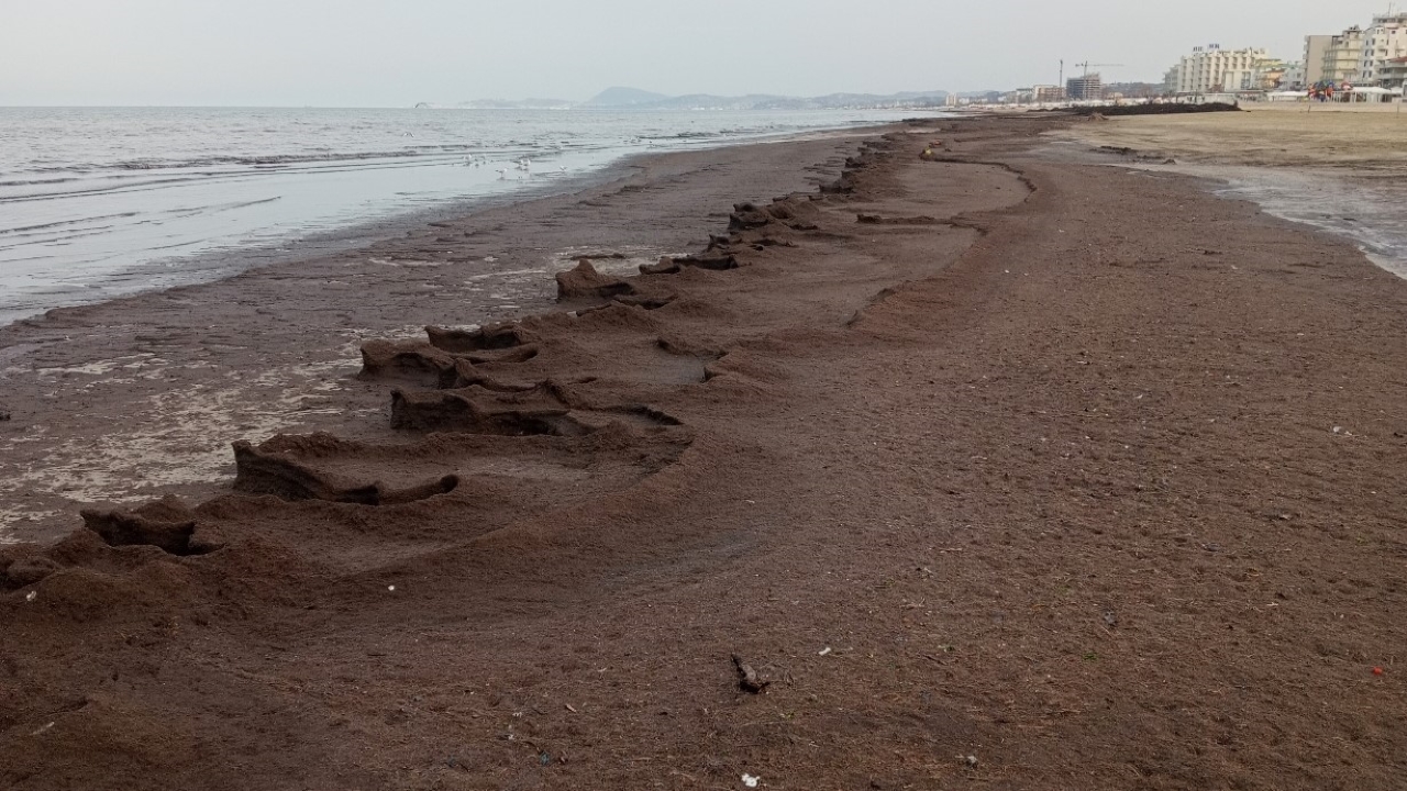I rifiuti che hanno invaso la spiaggia di velluto a Senigallia