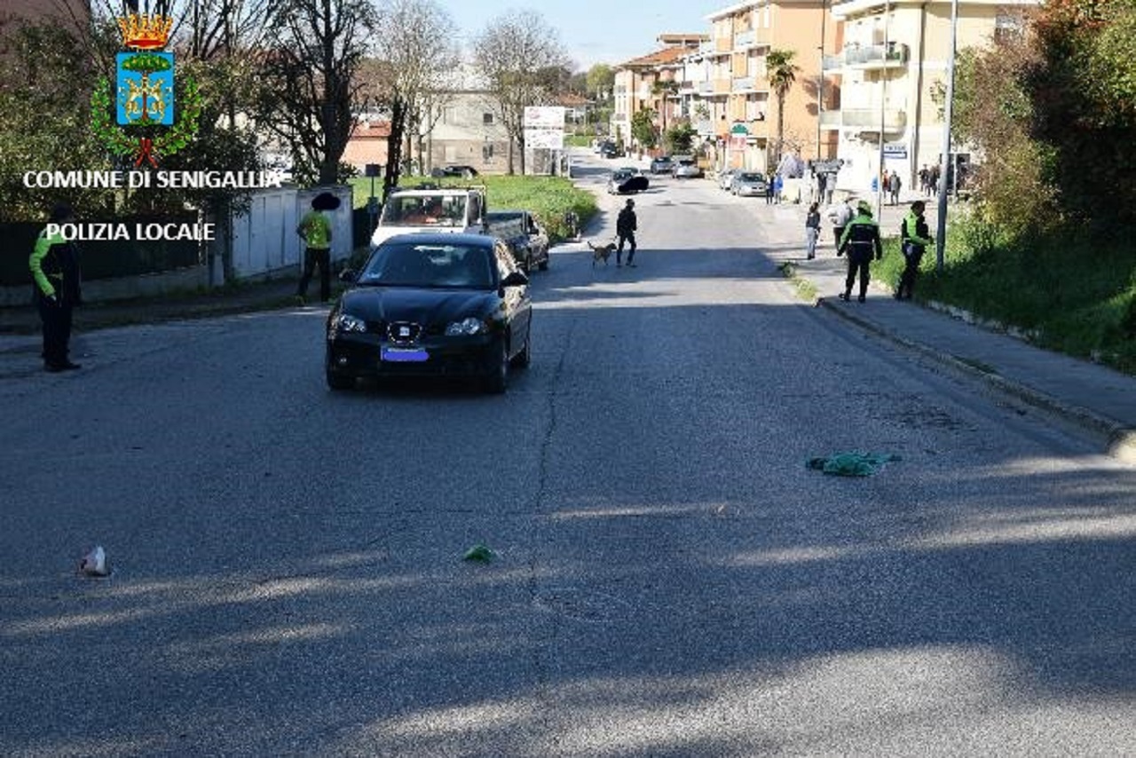 L'auto e il luogo dell'incidente, in via Corinaldese a Senigallia, costato la vita a una donna e al suo cagnolino