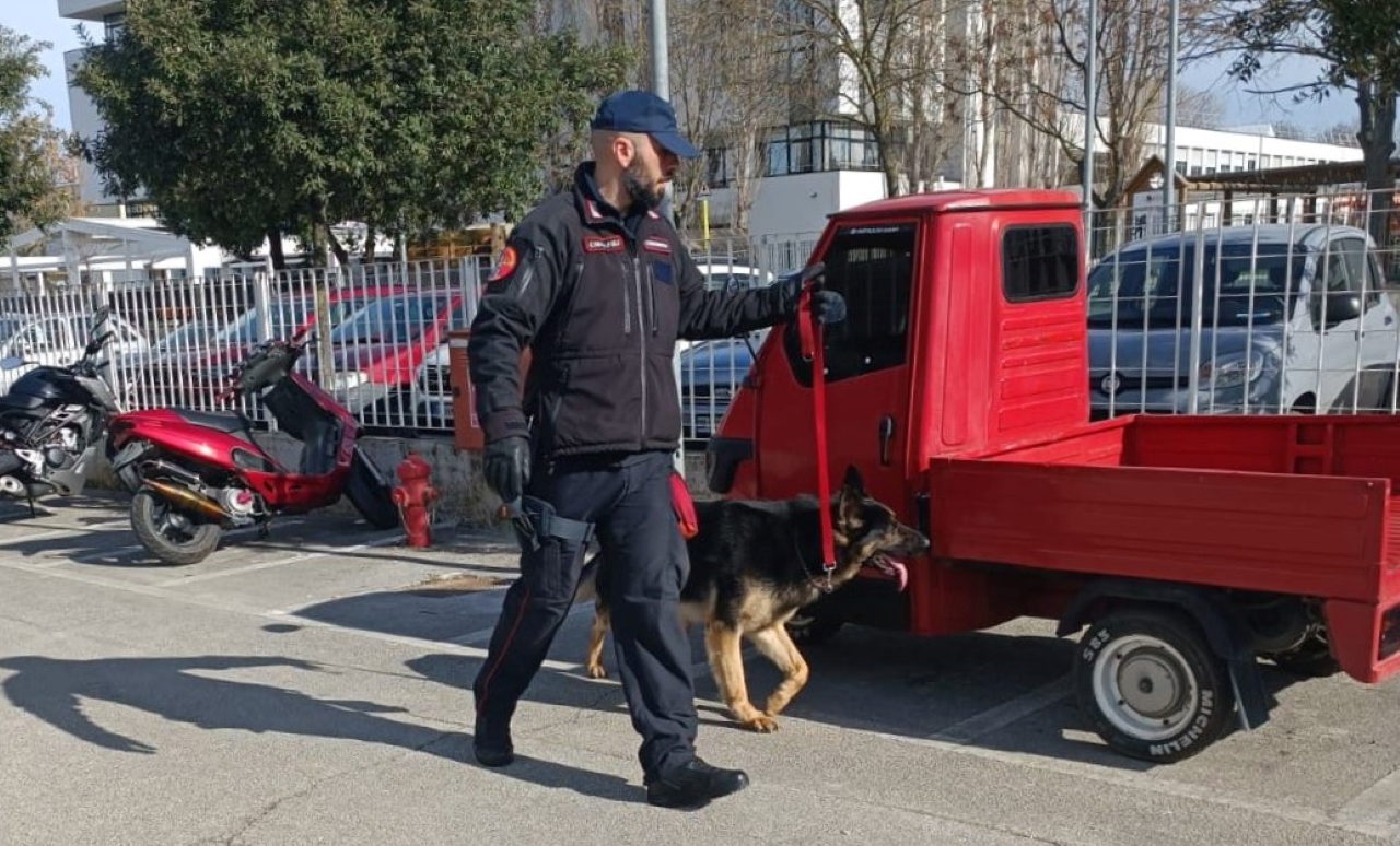 Controlli antidroga al campus scolastico di Senigallia con le unità cinofile dei carabinieri