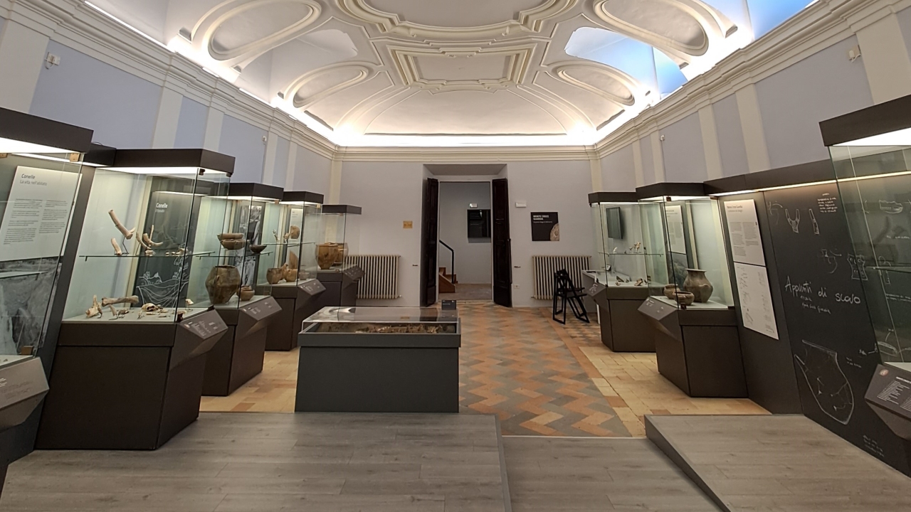 Il nuovo allestimento del Museo Archeologico Statale di Arcevia: la sala Carnevali