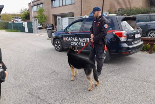 Camerino, controlli dei carabinieri a scuola con i cani antidroga