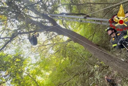 Portonovo, precipita parapendio: salvato un giovane fortunatamente rimasto appeso agli alberi